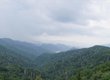 Newfound Gap Road, Great Smoky Mountains National Park