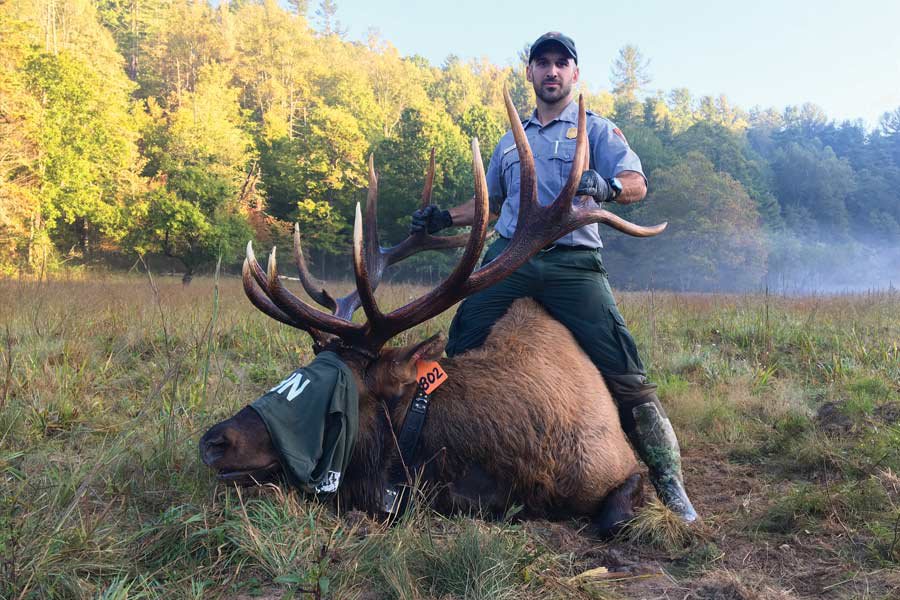 A Conversation With the Smokies’ Elk Guy