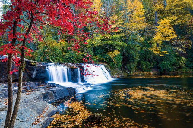 Saving waterfalls: DuPont Forest