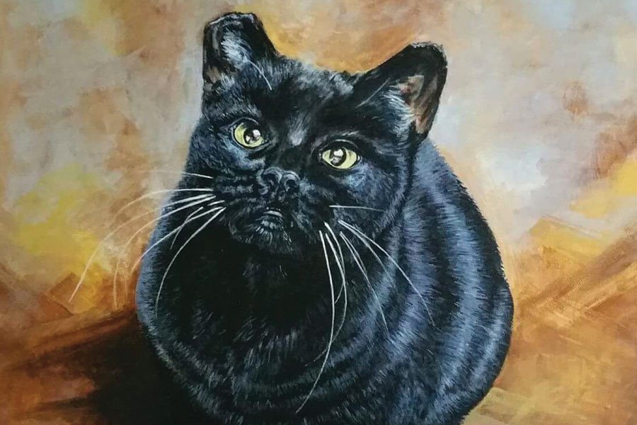 Bombay Black cat figurine Authors Porcelain figure Gift Box NEW 