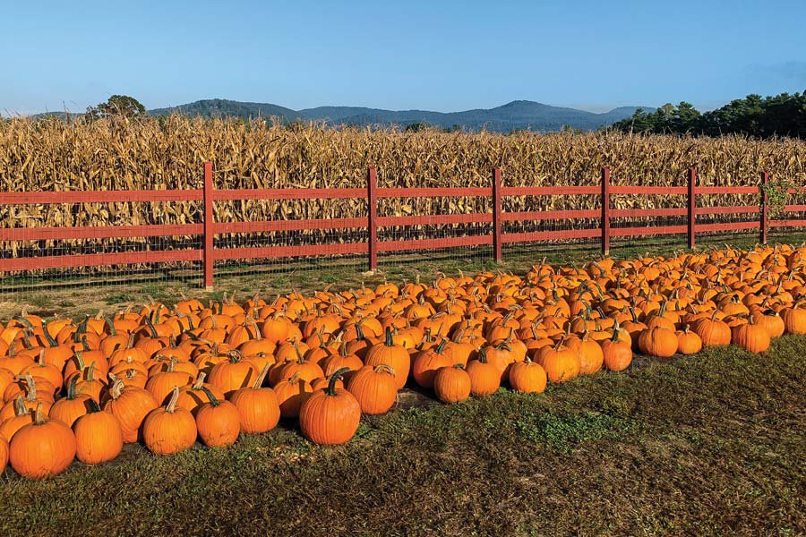 Embrace a Smoky Mountain Autumn with Apple Orchards, Pumpkin Patches & Corn  Mazes - Smoky Mountain Living