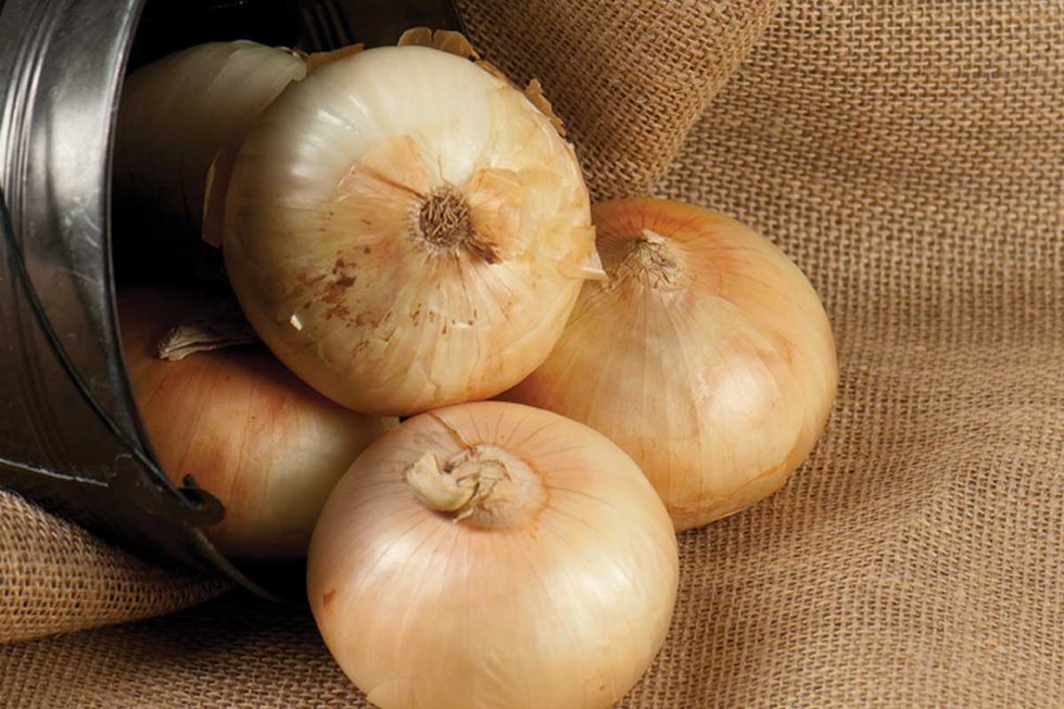 onions.jpg